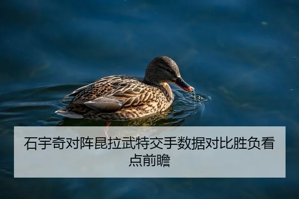 石宇奇对阵昆拉武特交手数据对比胜负看点前瞻